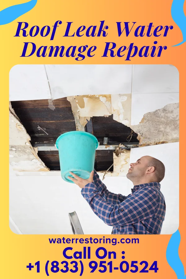 Roof Leak Water Damage Repair in Del Mar Heights, TX