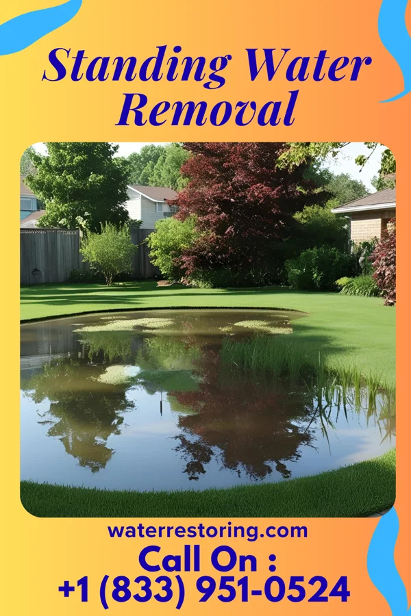 Standing Water Removal in Del Mar Heights, TX